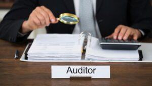 Income auditor job description