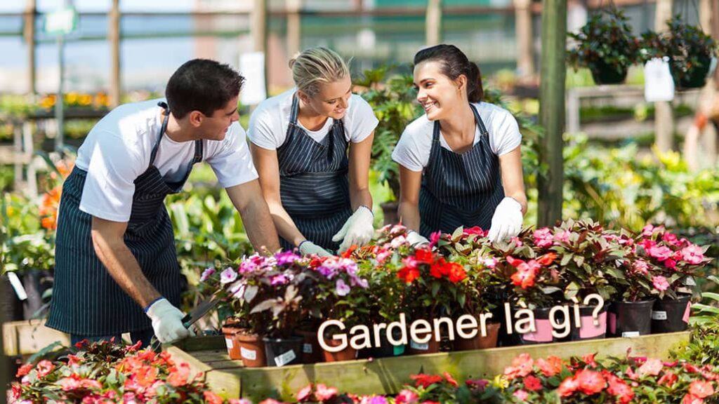 Gardener là gì?