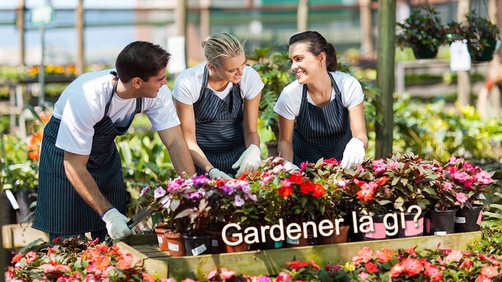 Gardener là gì?