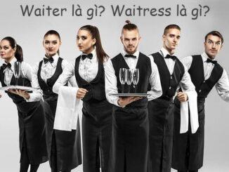 Waiter là gì? Waitress là gì?