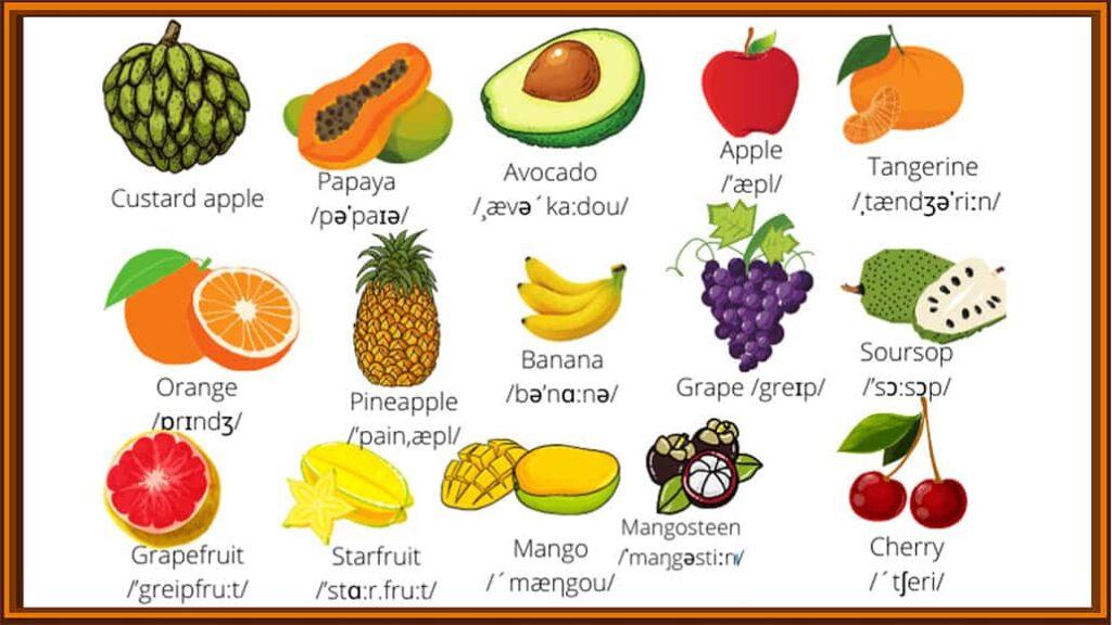 Tên các loại trái cây bằng tiếng Anh