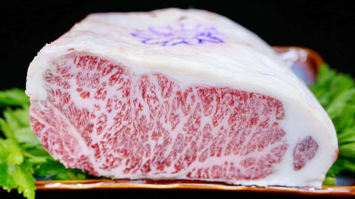 Thịt bò Kobe rất đắt đỏ vì thơm ngon